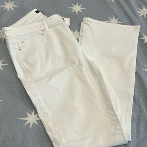 Ann Taylor Curvy Fit Jean